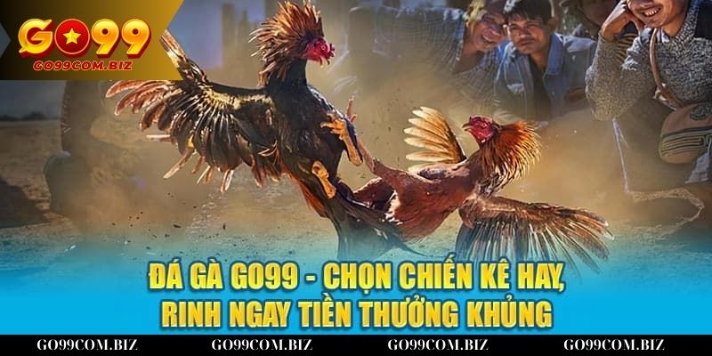 Các ưu đãi hấp dẫn chỉ có tại đá gà Go99