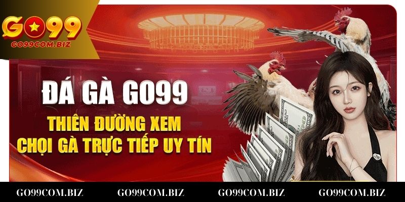 Go99 - Nền tảng chơi game chọi gà trực tuyến uy tín và chuyên nghiệp