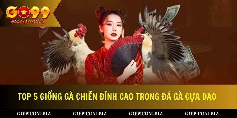 Khám phá top 5 giống gà chiến đỉnh cao trong đá gà cựa dao