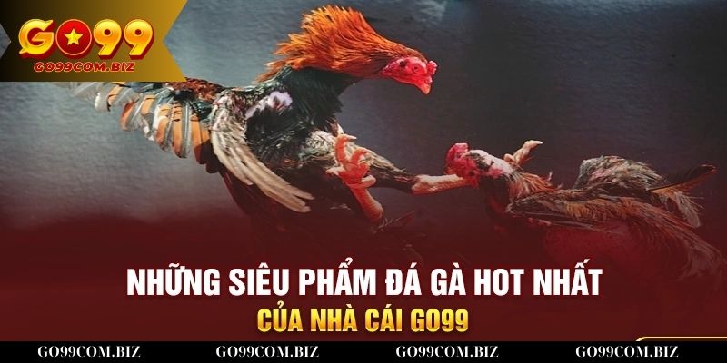 Những game đá gà nổi bật nhất tại Go99